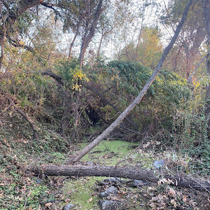 Meet your Posher, Kara